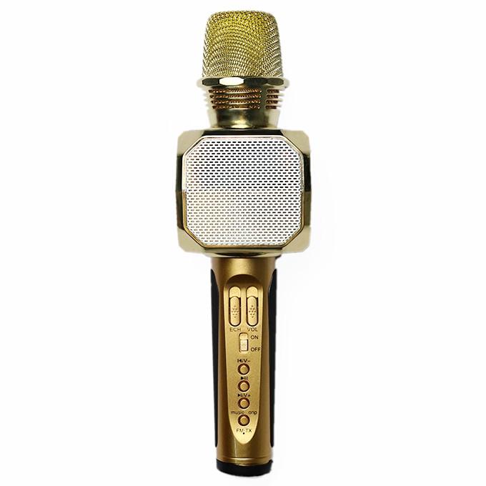 Mic karaoke SD-10