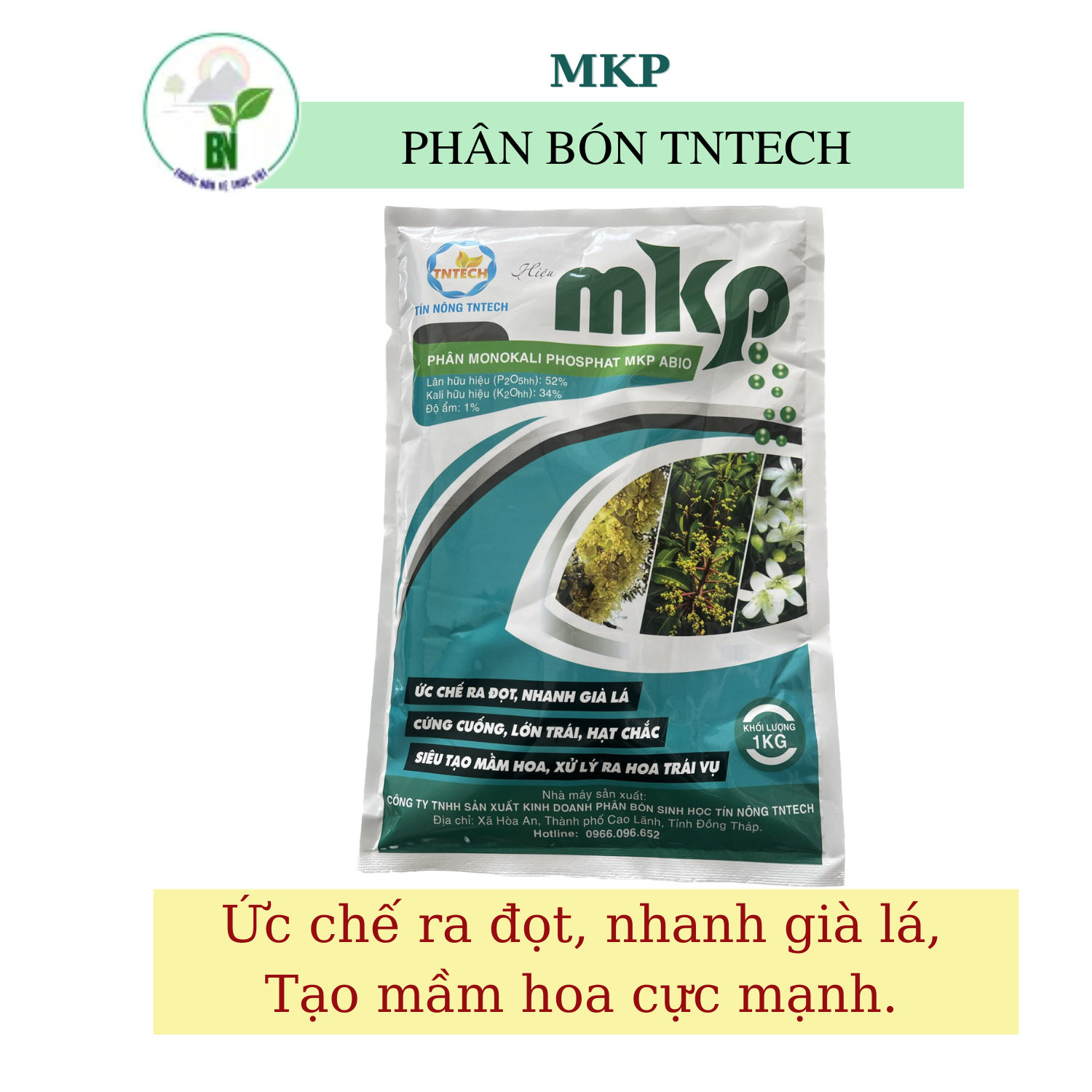 Phân bón MKP - Ức chế ra đọt, nhanh già lá, cứng cuốn, lớn trái, siêu tạo mầm hoa