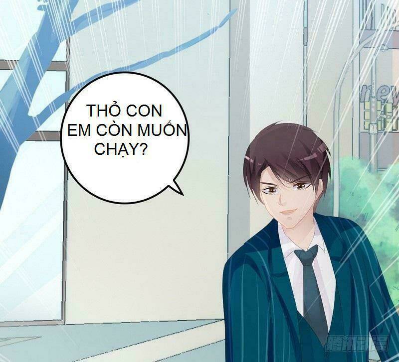 thần bí đế thiếu điềm sủng thê chapter 14 20