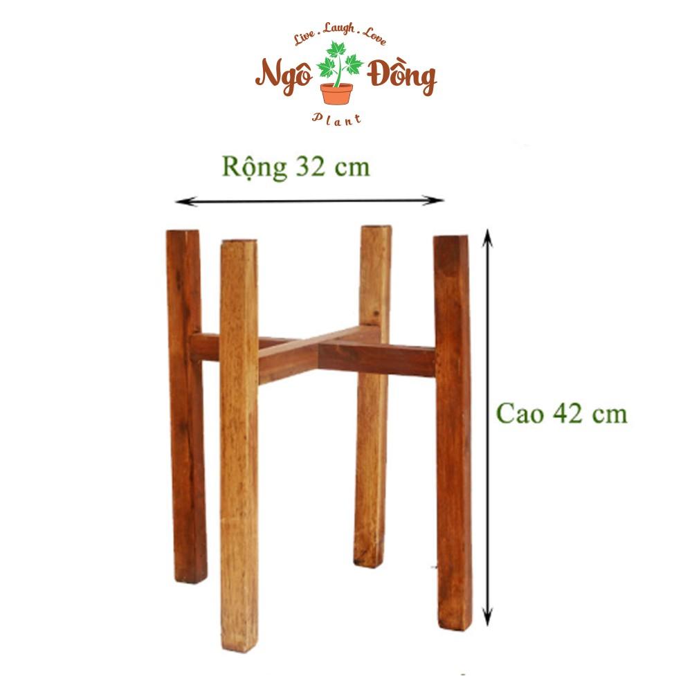 Đôn Kê Nâng Chậu Cây Cảnh Chậu Hoa 1 Tầng C42cm Bằng Gỗ Tràm Tự Nhiên Trang Trí Trong Nhà Ngoài Sân Vườn