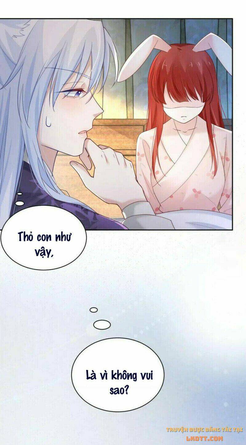 hắc hóa nam chính trực tuyến nuôi thỏ chapter 59 14