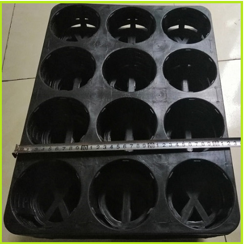 5 KHAY NHỰA CỨNG 12 LỖ TRỒNG RAU ƯƠM MẦM