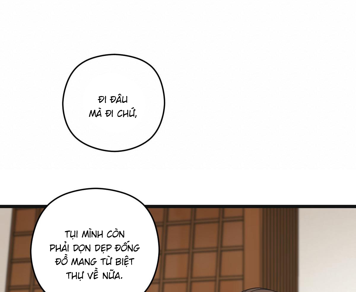 tương phùng chapter 36 50