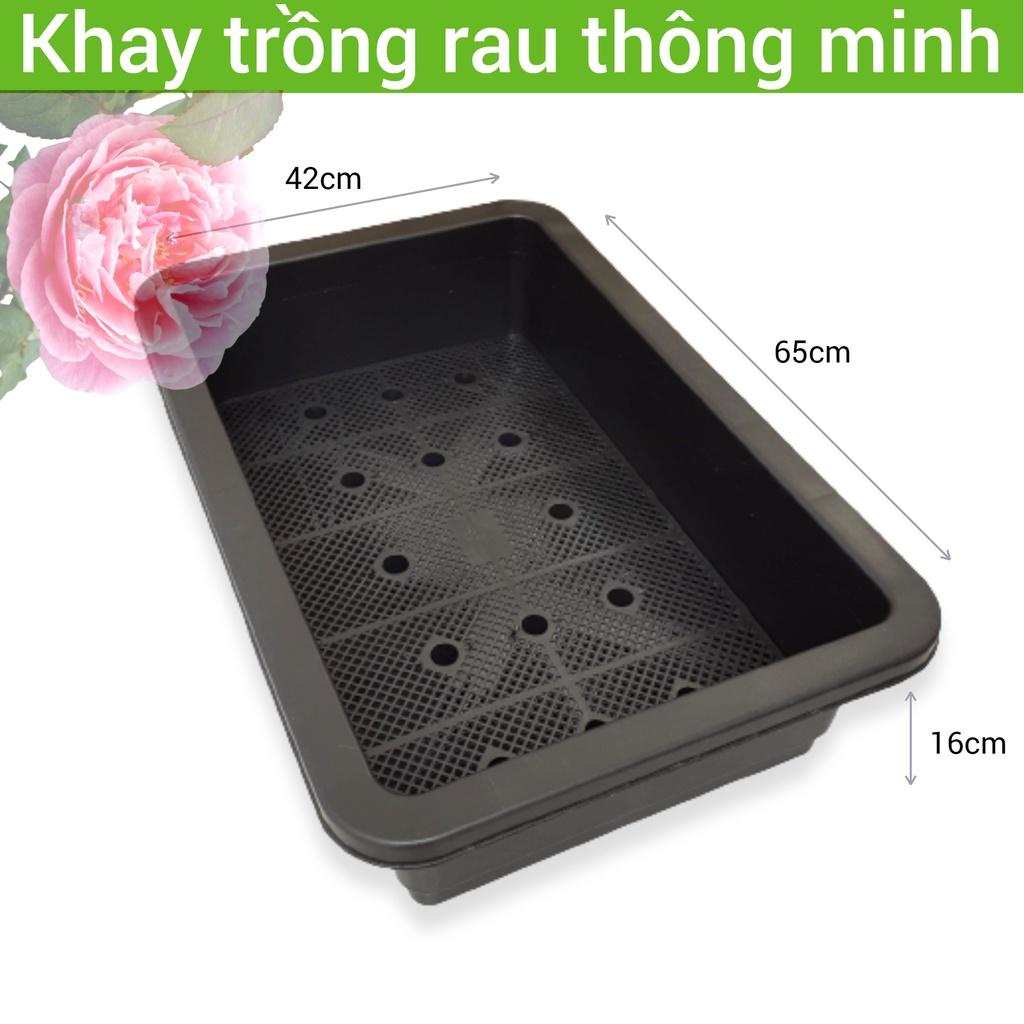 Khay trồng rau thông minh nhựa dày loại tốt 65x42x16cm