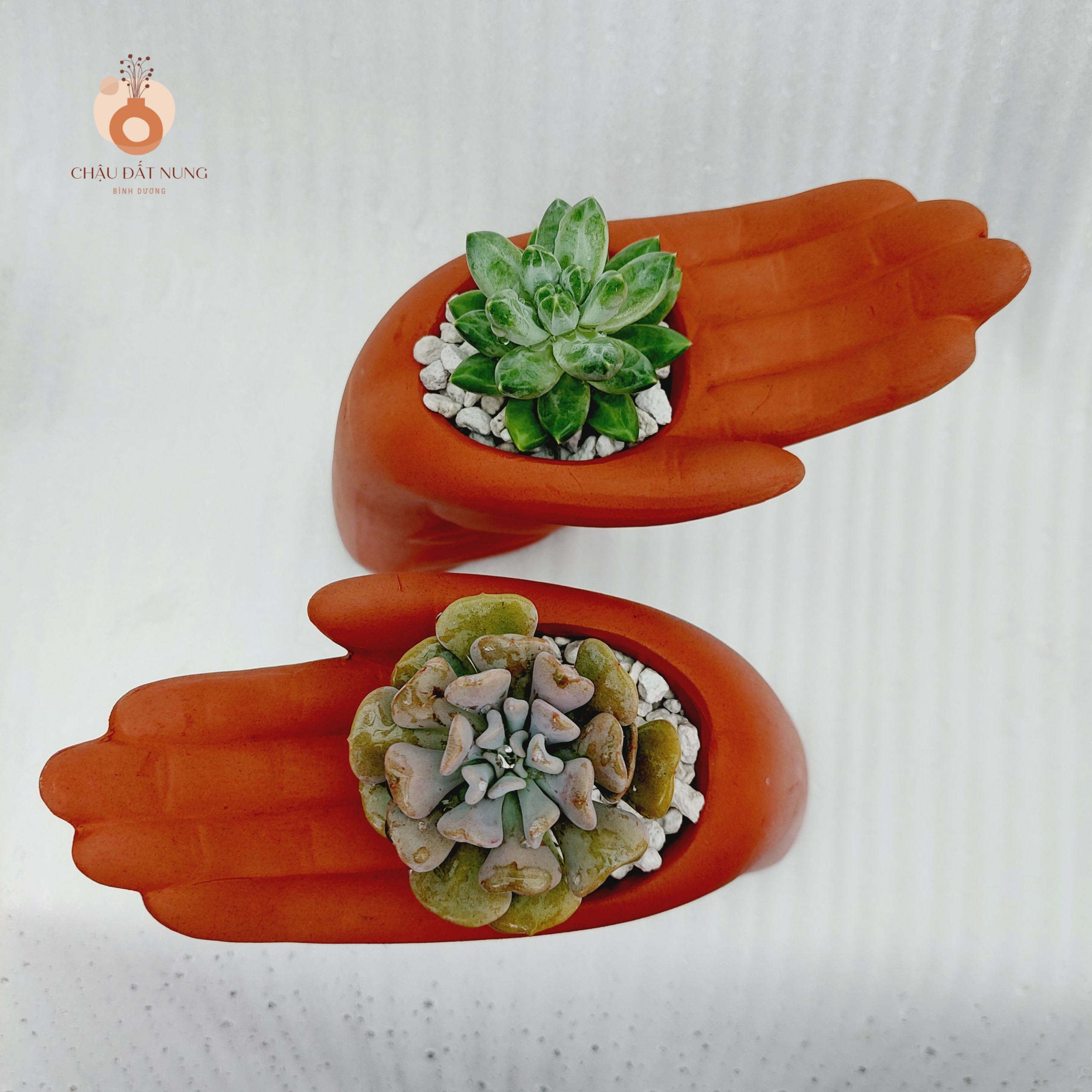 Chậu đất nung Bình Dương - Bàn tay của người tôi yêu, miệng chậu 6cm, chiều cao 15cm