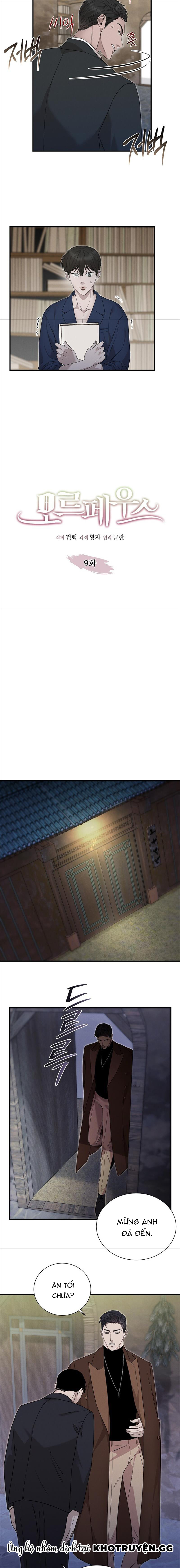 morpheus chapter 9 3