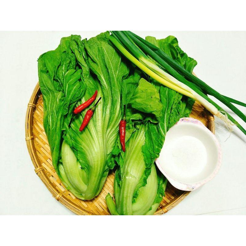 Hạt giống cải bẹ dưa, gói 20gr