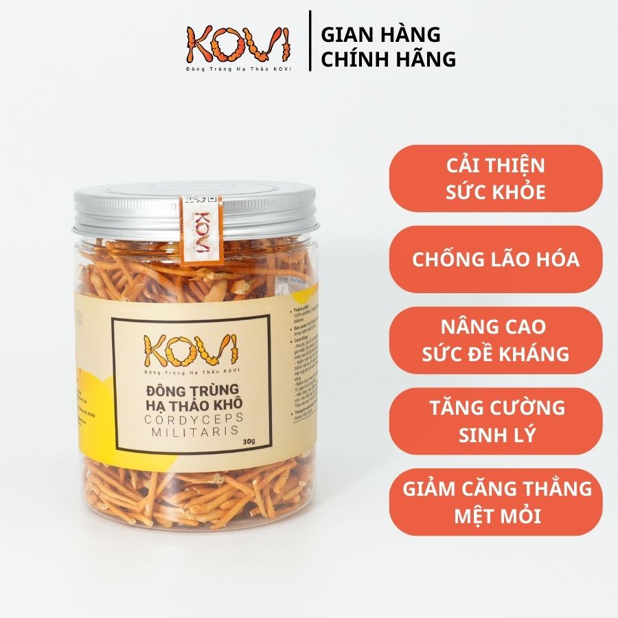 Đông trùng hạ thảo KOVI khô sấy thăng hoa 30g [Giá dùng thử]