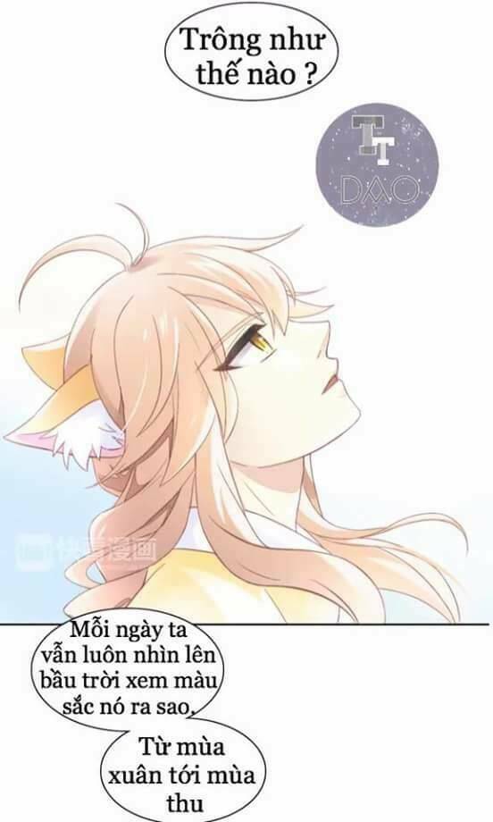 dưới móng vuốt mèo chapter 7 16