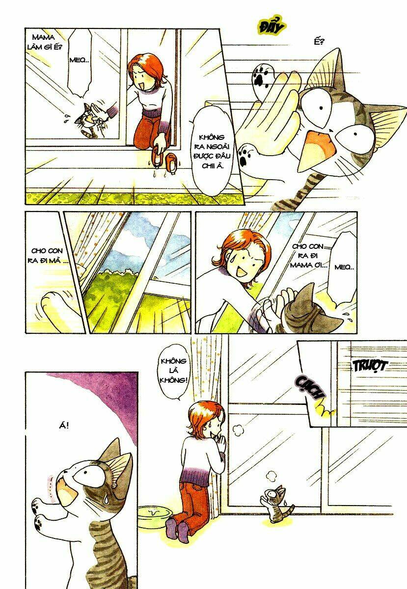 chi's sweet home chapter 50 5