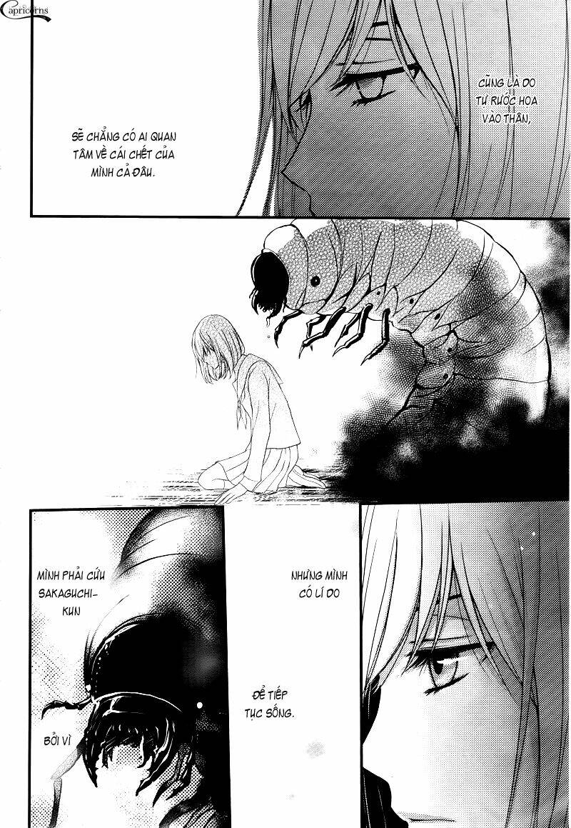 kyutarou horikita - người quét dọn chapter 2 23