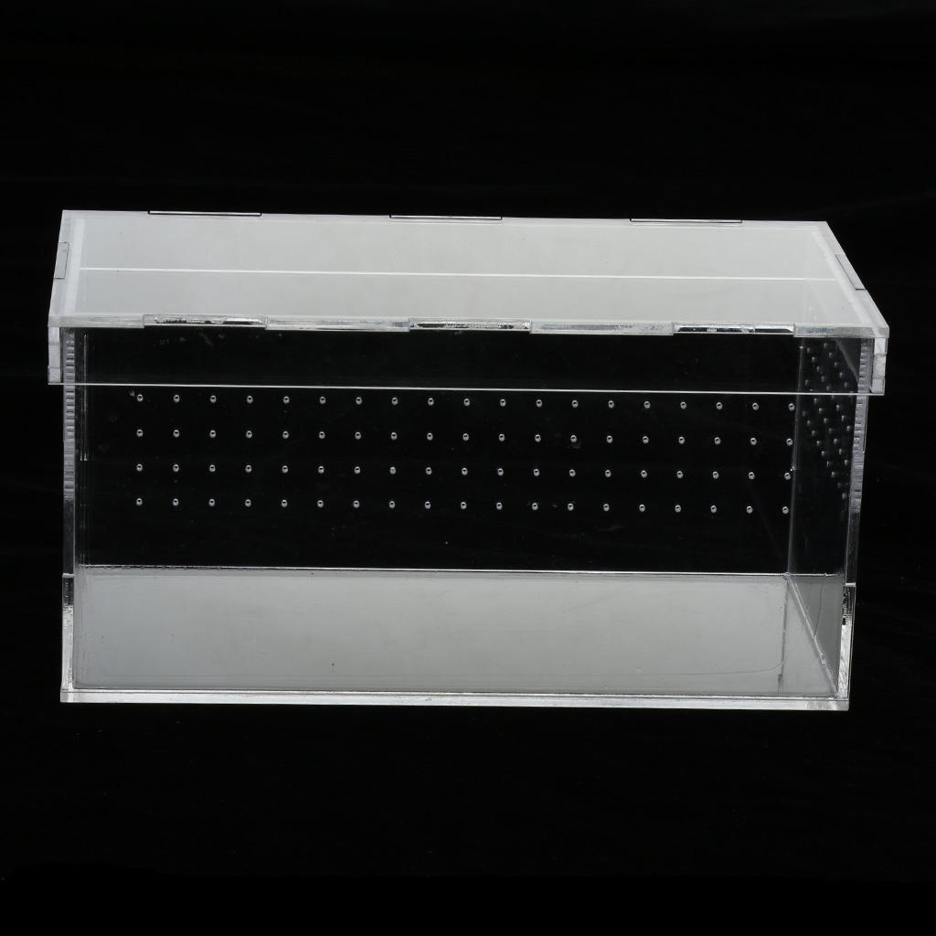 Transparent Acrylic Reptile Box Terrarium Pet Insect Breeding Box