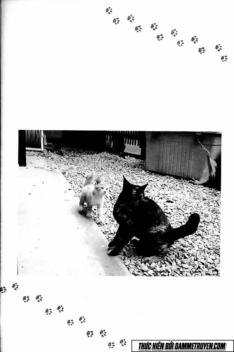 shin kotaro makaritoru! juudouhen chapter 113 7