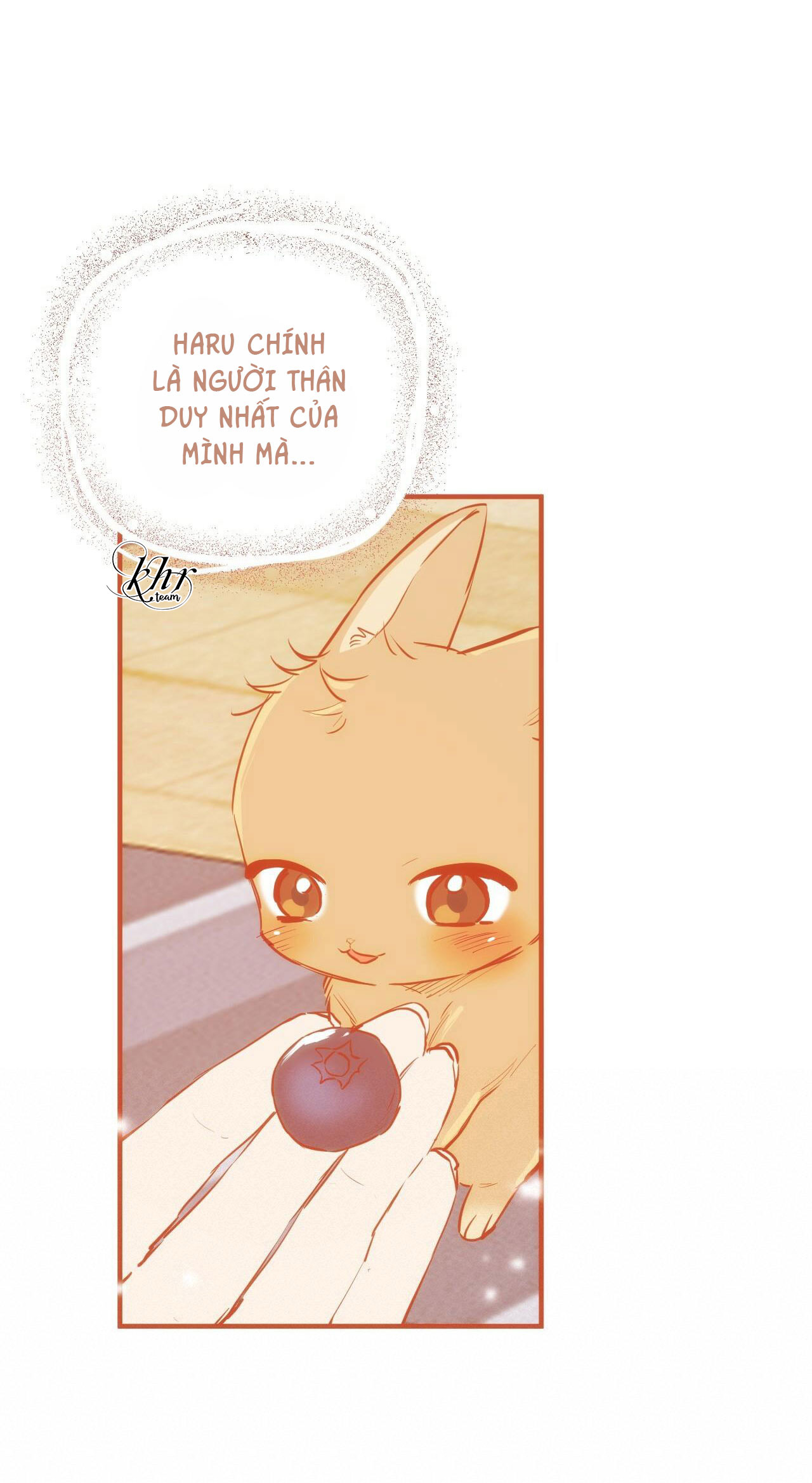 những chú thỏ của hapypy chapter 36 76