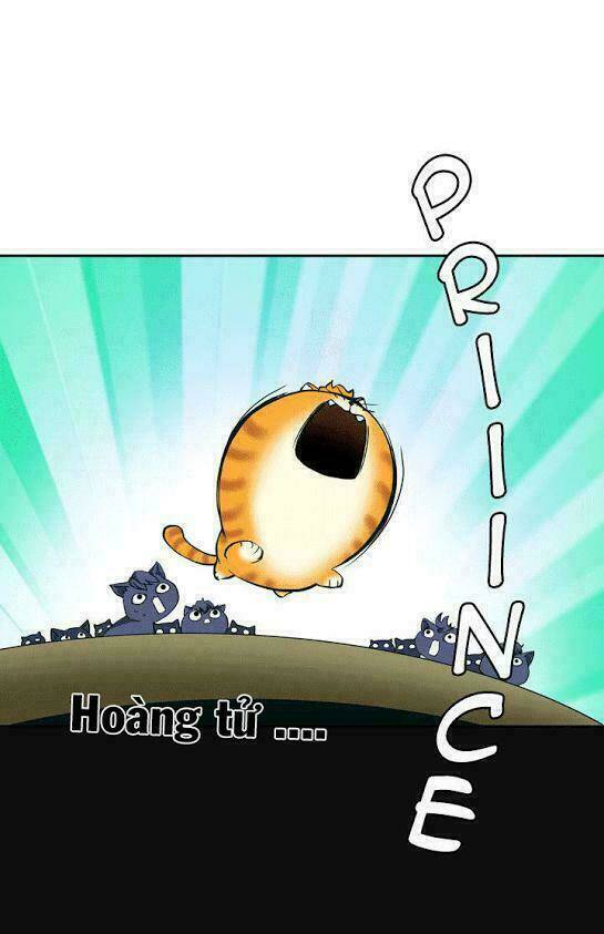 hoàng tử mèo đáng ghét chapter 1 12