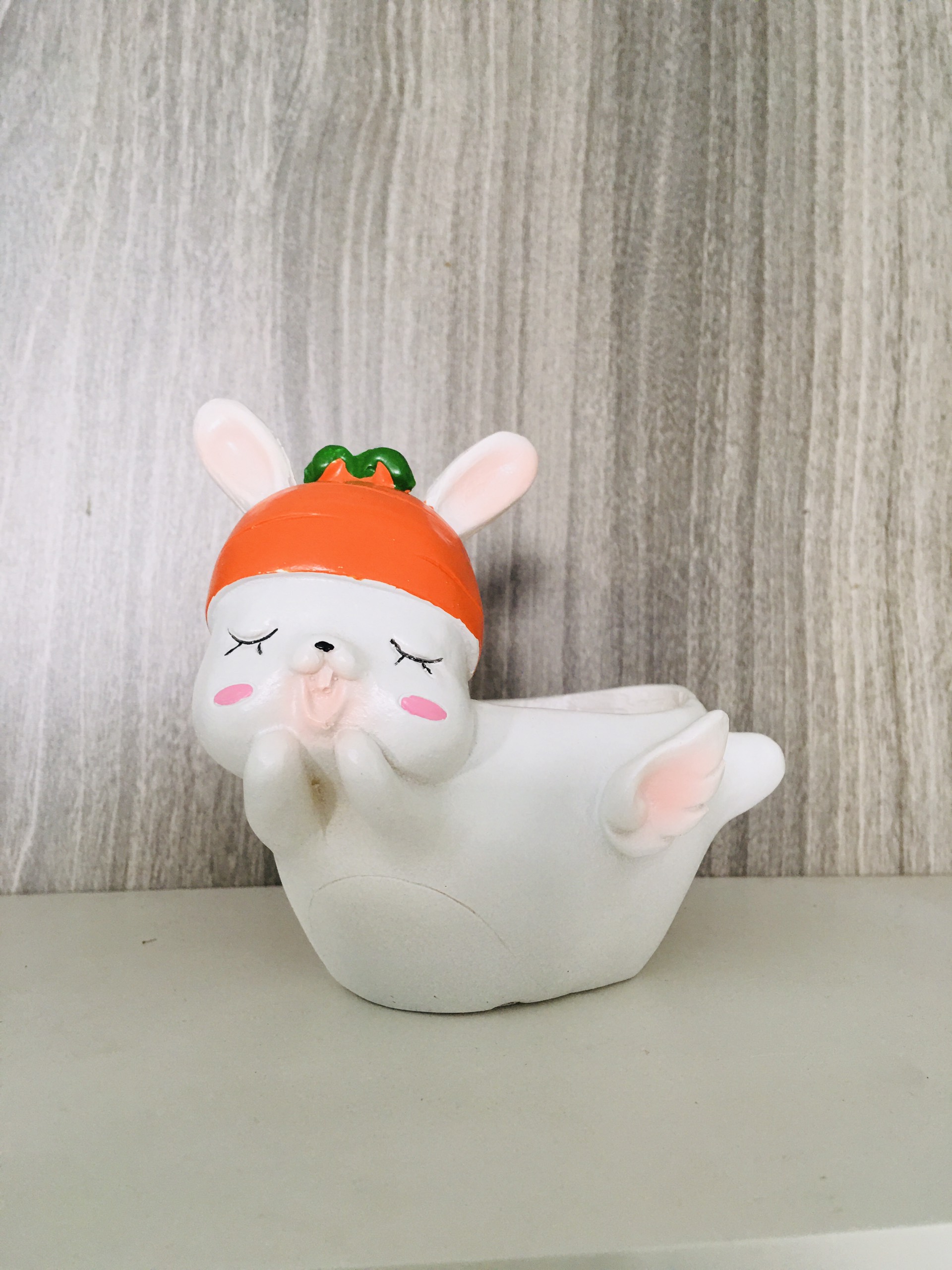 Chậu trồng cây hình thú dễ thương, trồng sen đá, cây mini.. trang trí bàn làm việc