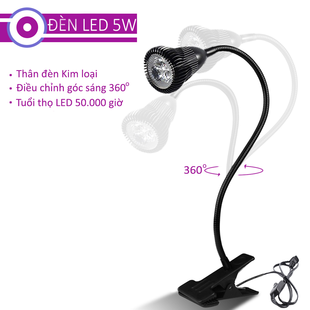 Đèn học và đọc sách Kẹp đầu giường BOFIT 5W-220V, Bóng Led COB ánh sáng chiếu rọi điểm