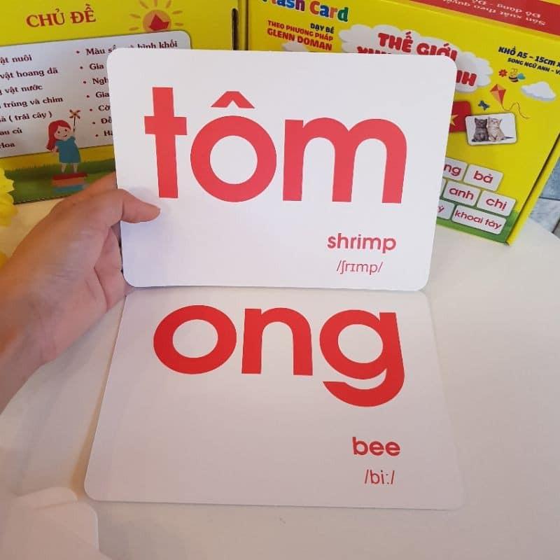 BỘ THẺ HỌC THÔNG MINH THEO PP GELDOMAN . Flash card cho bé