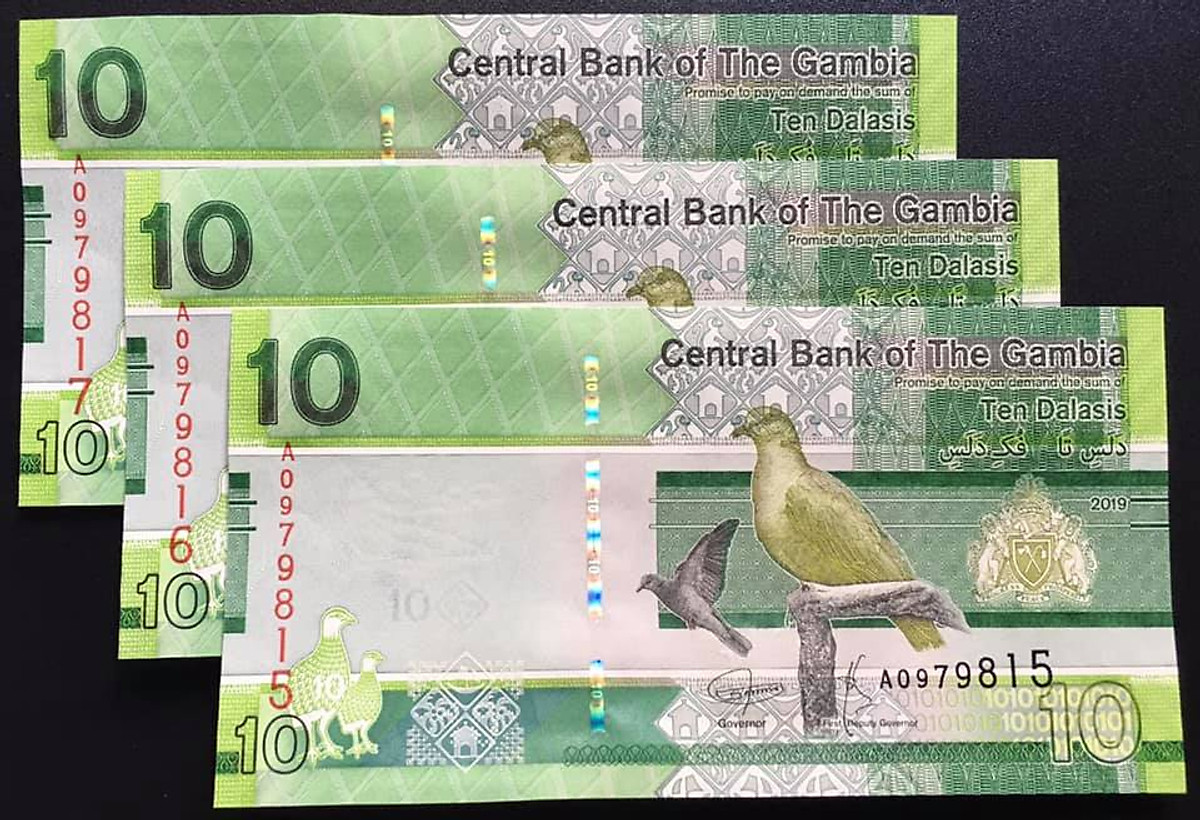 GAMBIA 10 DALASIS 2019 P NEW DESIGN UNC