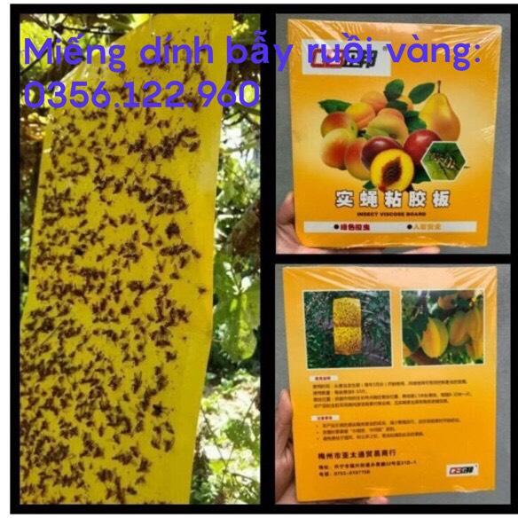 10 miếng dính bẫy ruồi vàng và côn trùng hại hoa lan cây trồng siêu dính - cỡ lớn 20x40 cm