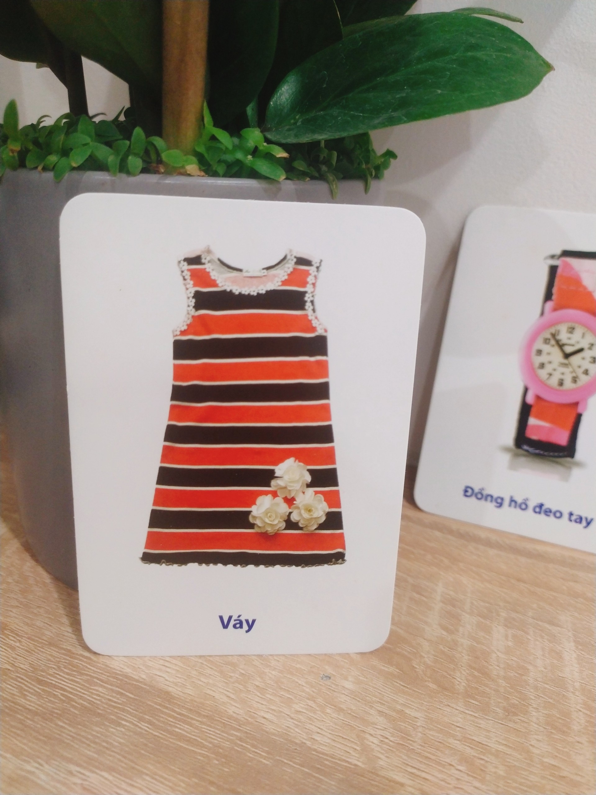 Flashcard học từ vựng – chủ đề đồ vật