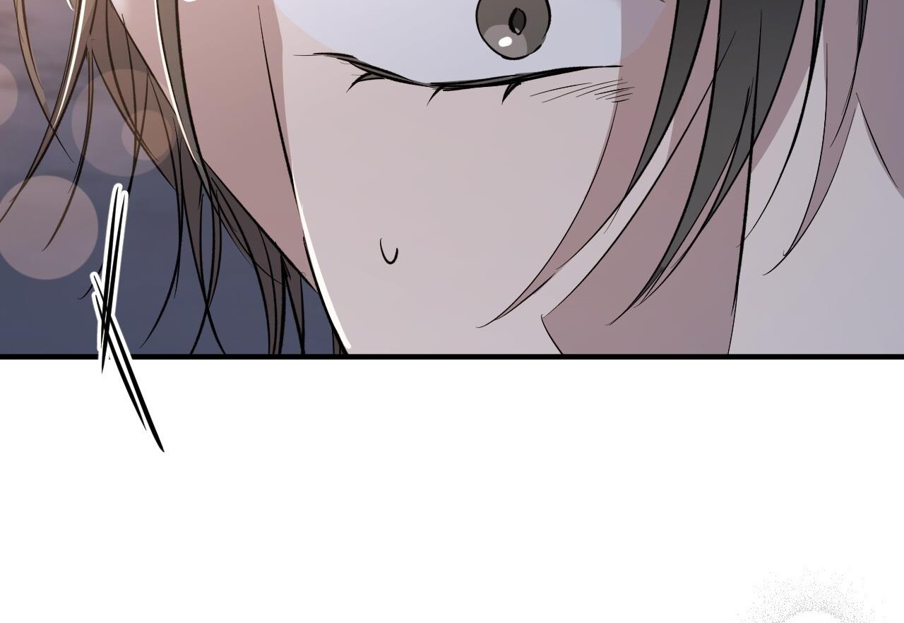 đàn thỏ của habibi chapter 59 42