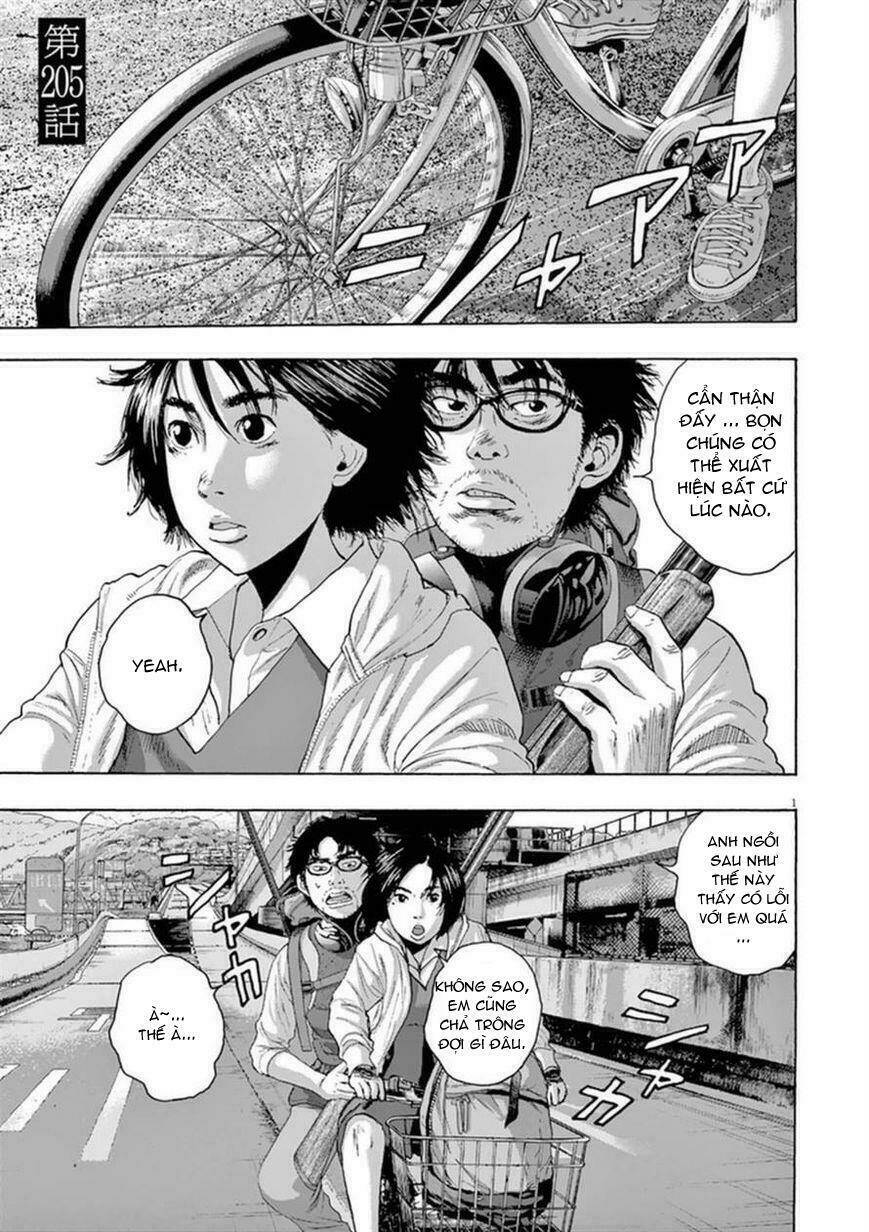 tôi là người hùng chapter 205 3