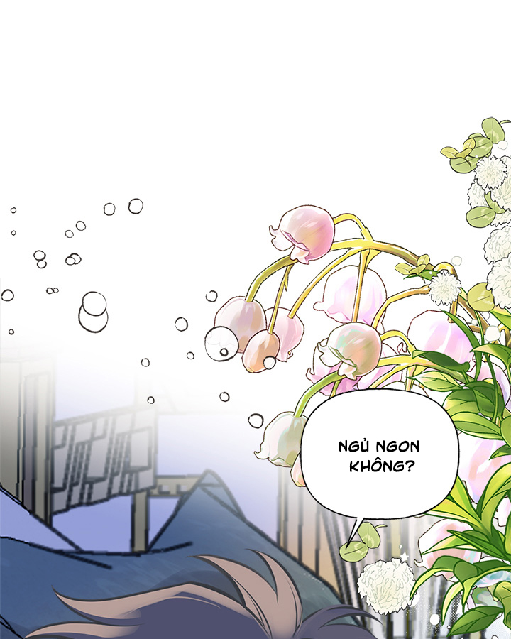 chị tôi đã nhặt về một nam chính quyến rũ chapter 46 1