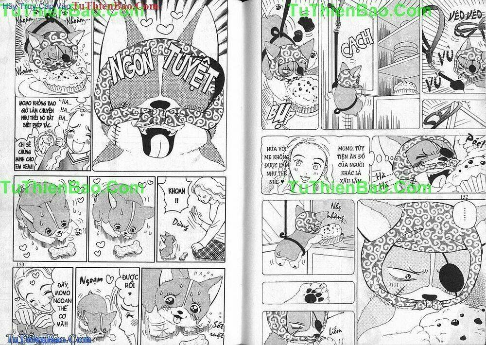 chó con mo mo chapter 1 77