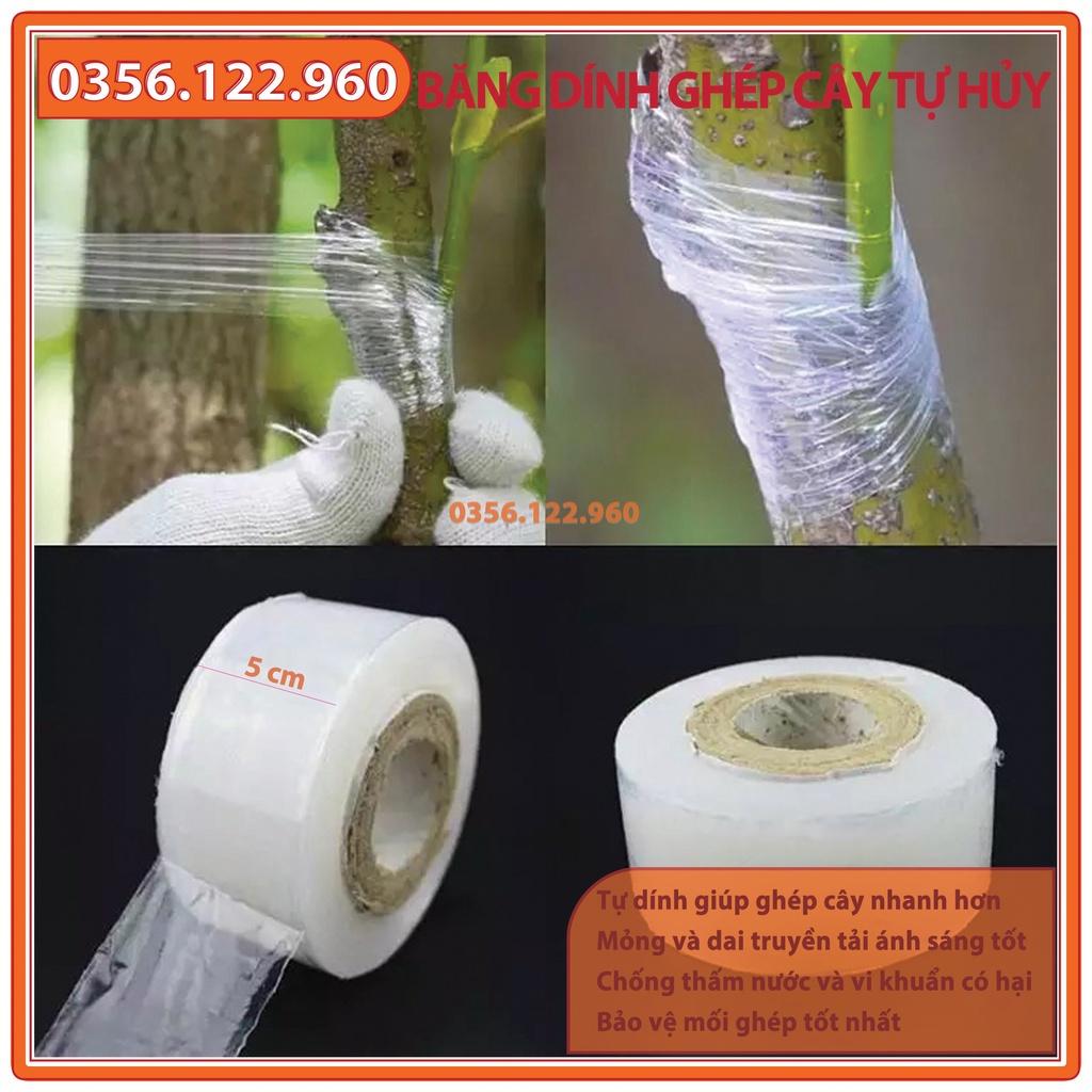 Băng dính ghép cây tự hủy - khổ 5 cm -Chuyên dùng cho ghép cành, tạo dáng