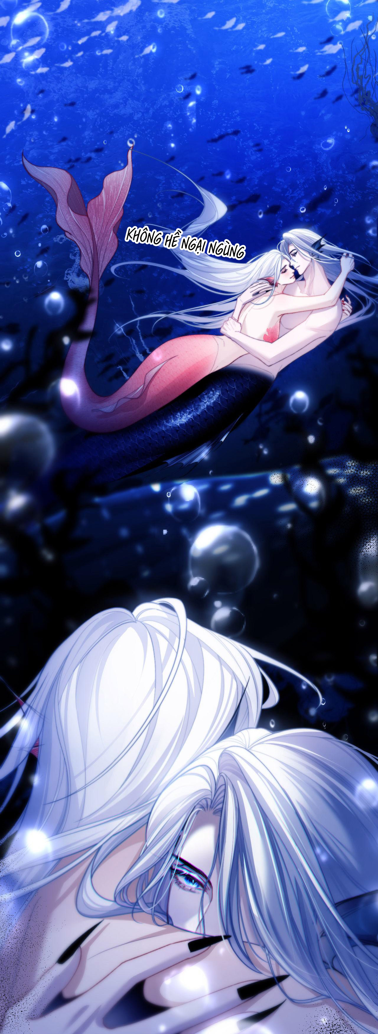 nhân ngư dessaro chapter 12 15