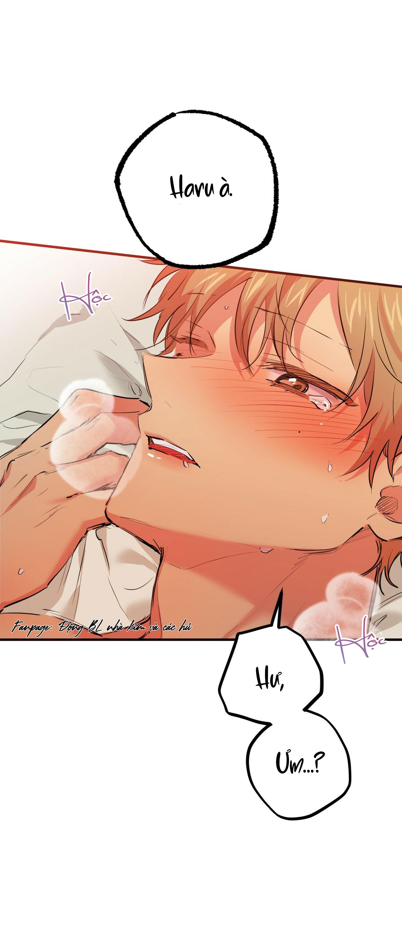 những chú thỏ của hapypy chapter 29 28