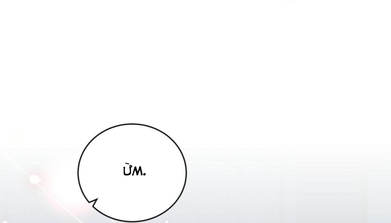 vị ngọt không đường (sweet not sugar) chapter 11 23