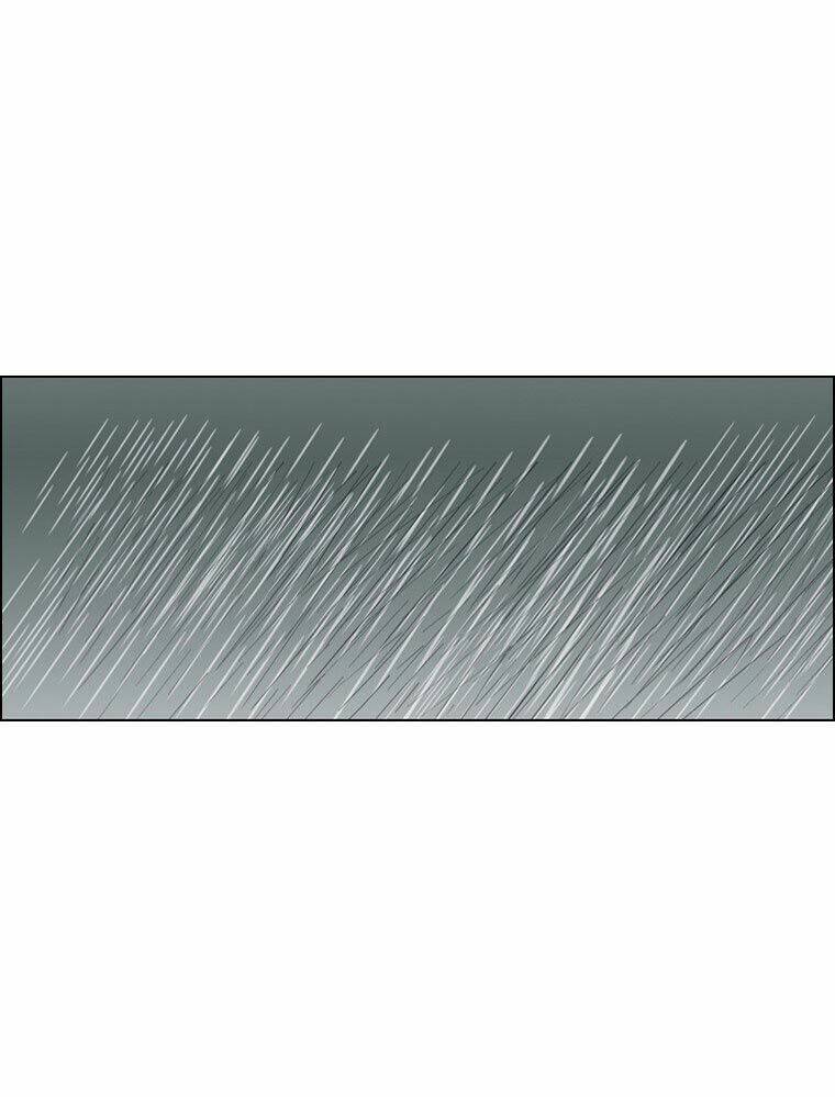 paladin chapter 41 3