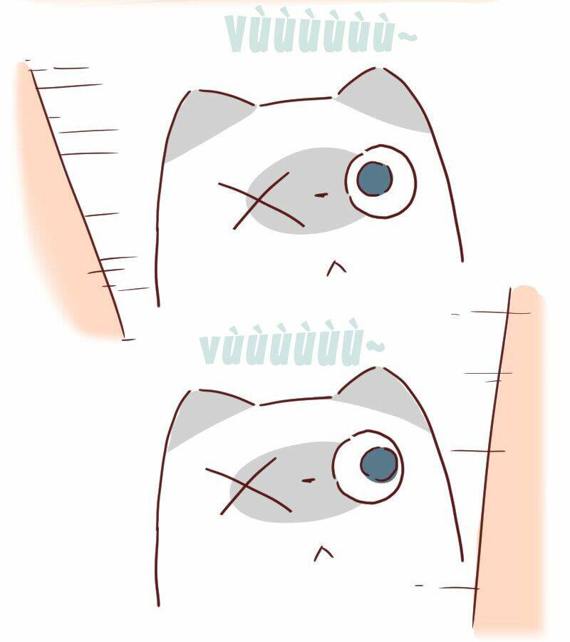 saphie: chú mèo một mắt chapter 27 3