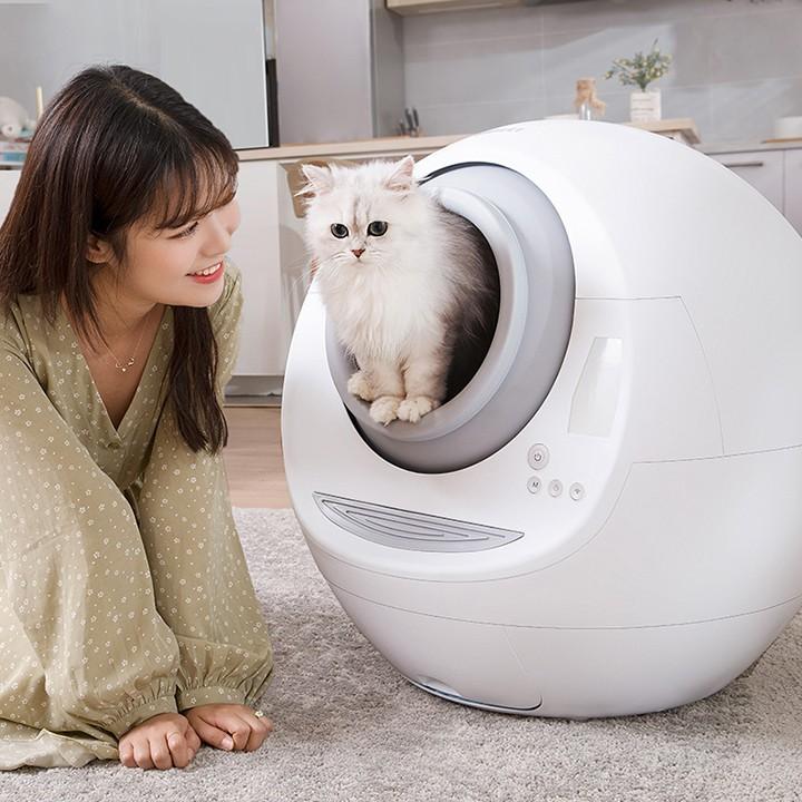 Nhà vệ sinh cho mèo tự động dọn vệ sinh, Lồng đi vệ sinh cho mèo tự động