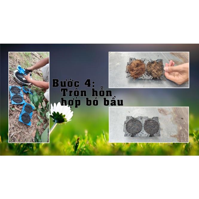Bộ 40 Bầu Nhựa Chiếc Cành Đủ Kích Thước Từ 4cm, 6cm, 10cm, 12cm