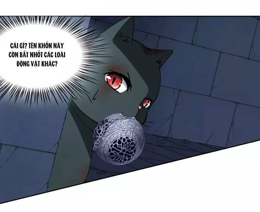huyền vũ luyến ca: vạn vật sinh linh chapter 20.2 6