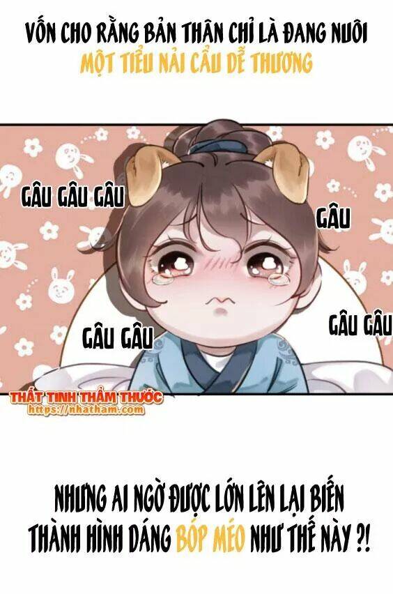 trọng sinh bá sủng nhiếp chính vương quá mạnh mẽ chapter 0 25