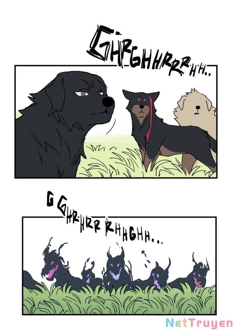 lumine - cội nguồn ánh sáng chapter 163 20