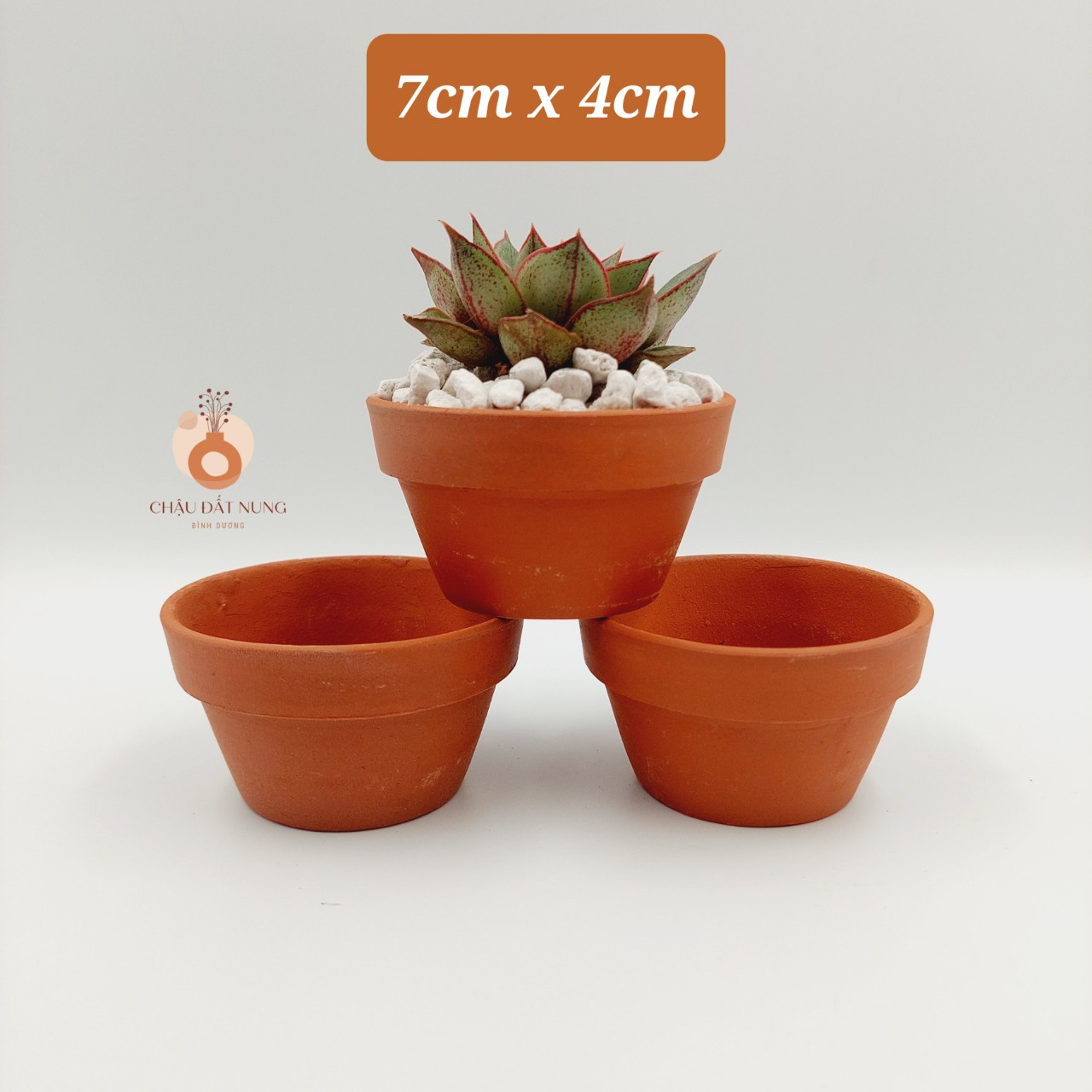 Chậu đất nung, chậu sen đá, xương rồng - Ly gờ 74, miệng chậu 7cm, chiều cao 4cm