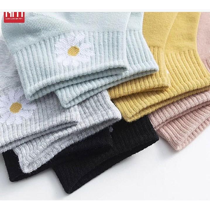 Set 10 đôi tất hoa cúc cho nữ vừa rẻ vừa xinh