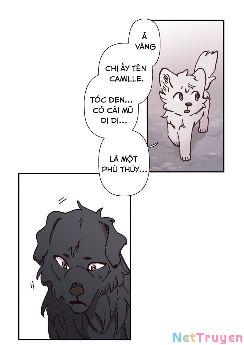 lumine - cội nguồn ánh sáng chapter 82 15
