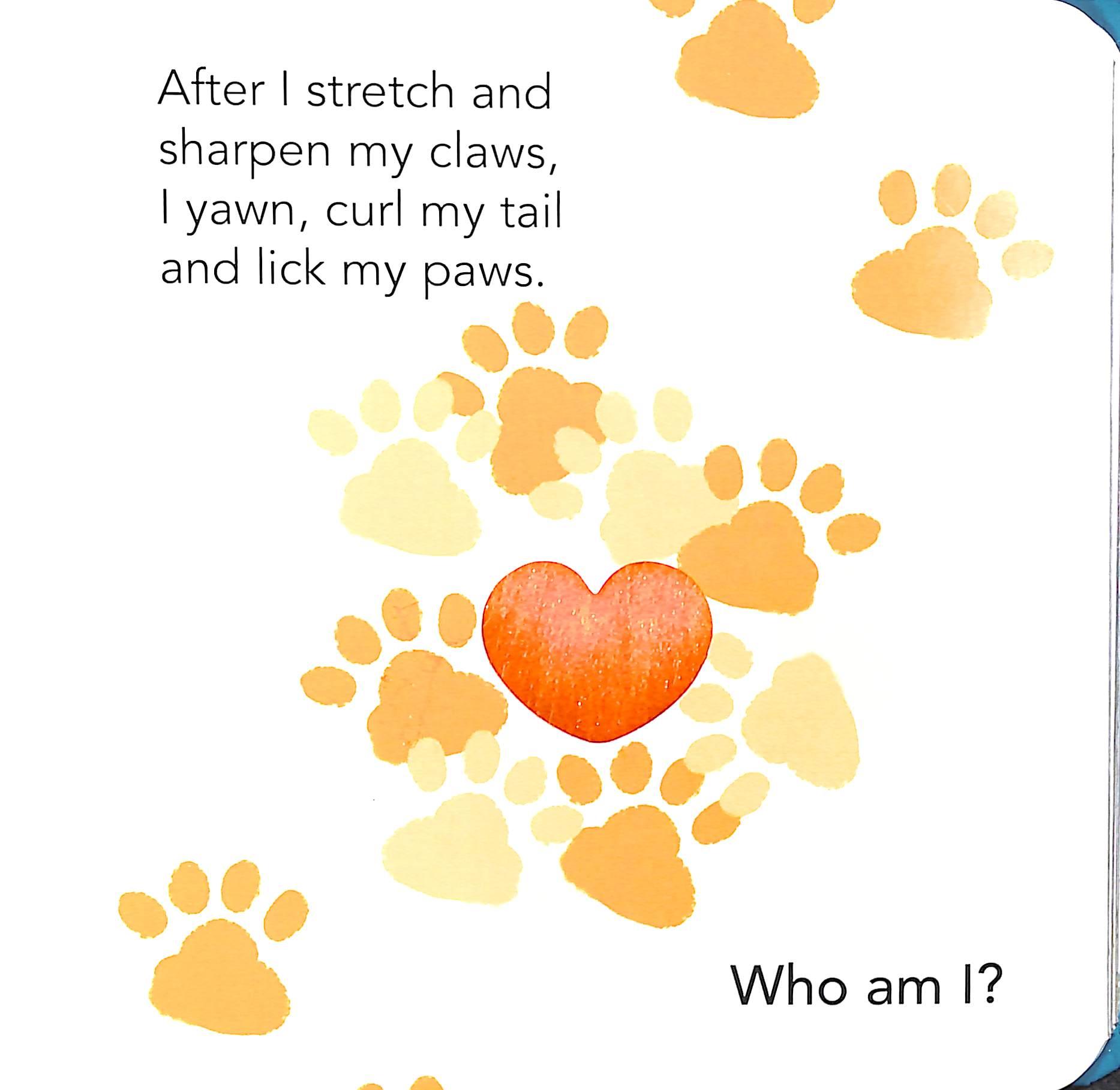 Who Am I? Touch &amp; Feel Flap Book: Pets