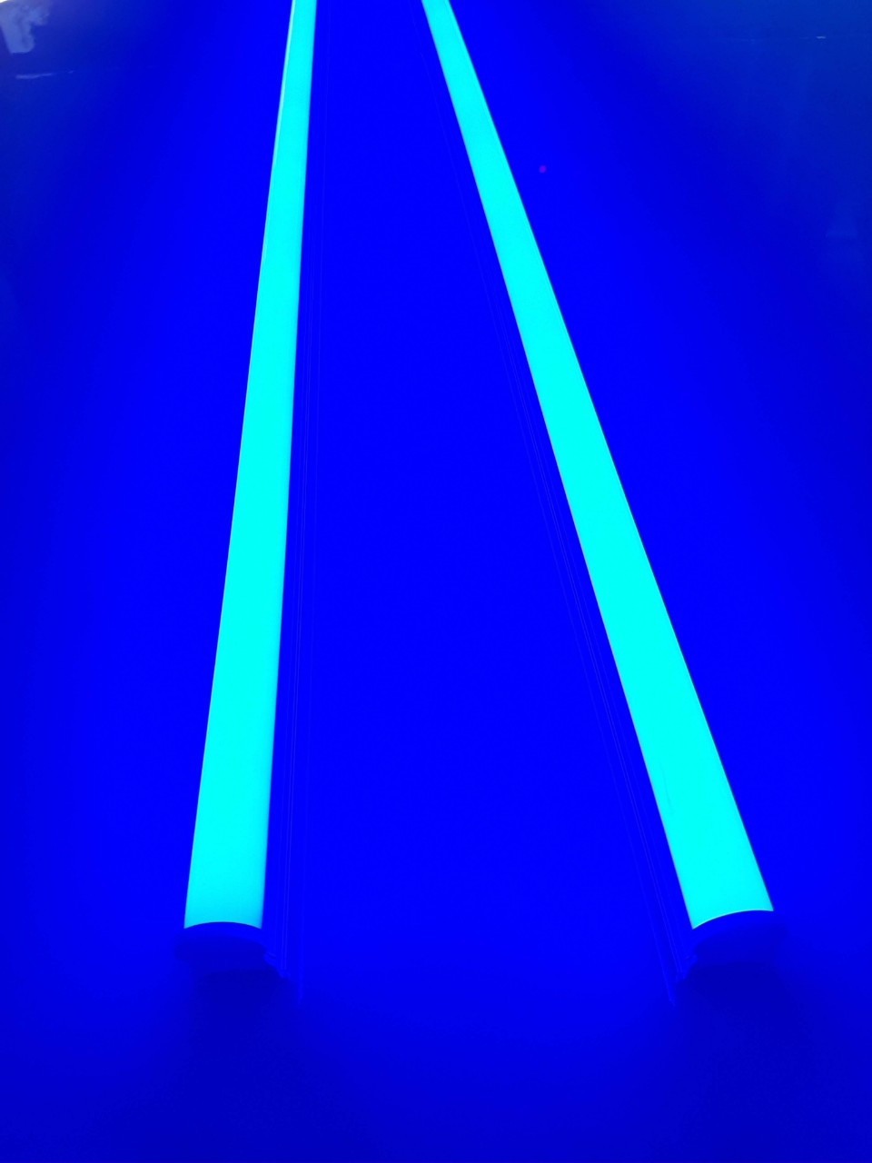 Combo 2 đèn LED tuýp thanh T5 60cm 120cm liền máng màu xanh dương sử dụng hắt trần trang trí