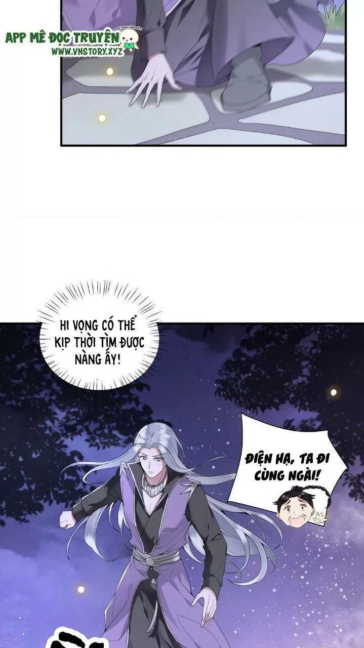 phượng hoàng vu phi chapter 66 11