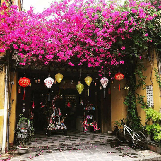 Đà Nẵng–Bà Nà–Hội An–La Vang-Động Phong Nha–Làng hương Thủy Xuân-An Định Cung-Huế
