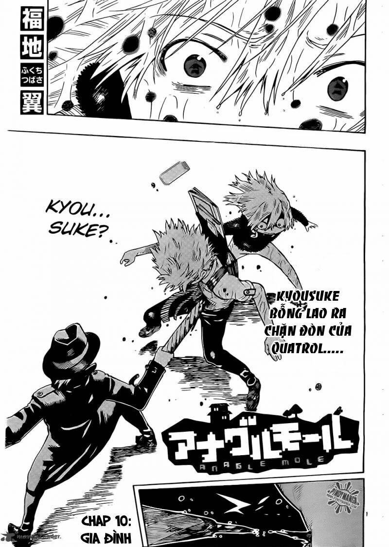 anagle mole chapter 10 2