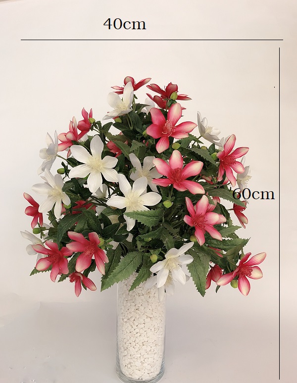 Bình hoa cúc sao nháy hay cánh bướm hồng trắng mang đến không gian bình yên thư giãn