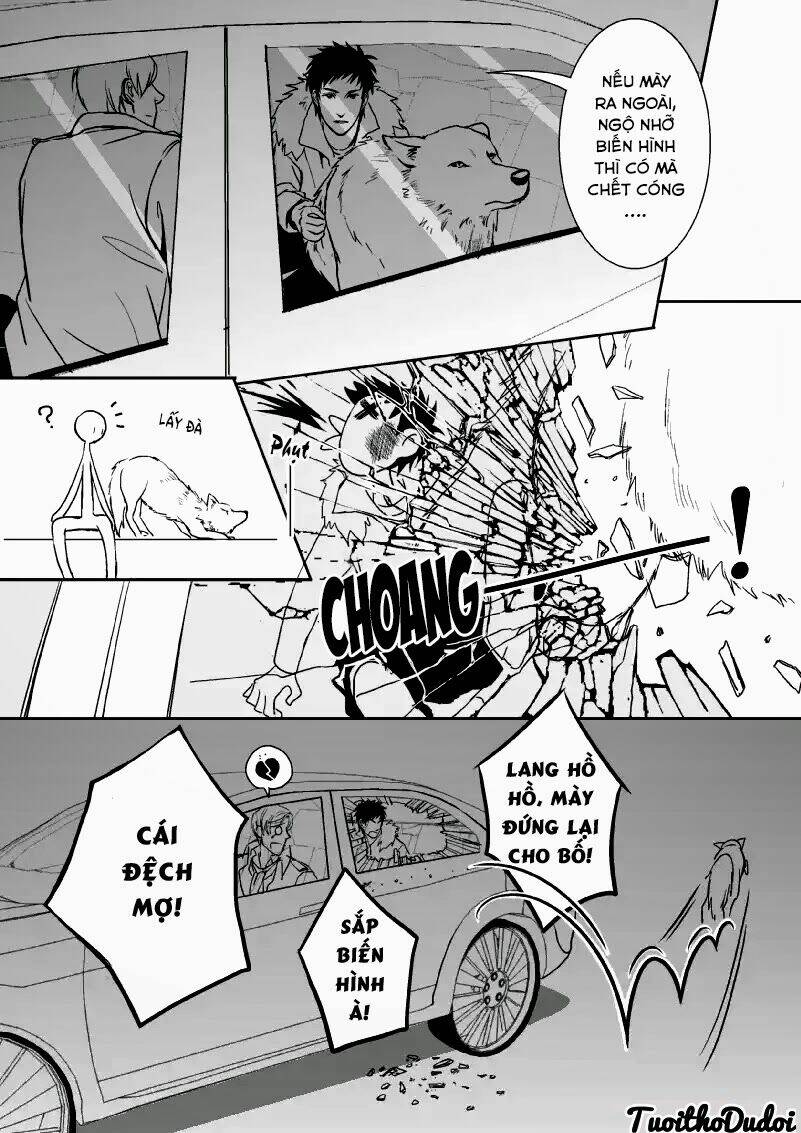 sự mê hoặc của sói chapter 22 6